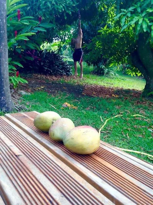 Mangobelo Entre Ocean Et Rivieres Villa Capesterre-Belle-Eau Guadeloupe